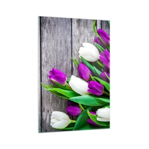 Impression sur verre - Image sur verre - Un bouquet de tulipes violettes et blanches sur un fond en bois - 70x100cm - Le jour des vacances de printemps - Décoration murale moderne pour le salon et la chambre ARTTOR