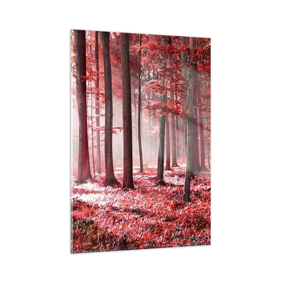 Impression sur verre - Image sur verre - Forêt d'automne aux couleurs rouges et brouillard matinal - 50x70cm - Le rouge est tout aussi beau - Décoration murale moderne pour le salon et la chambre ARTTOR