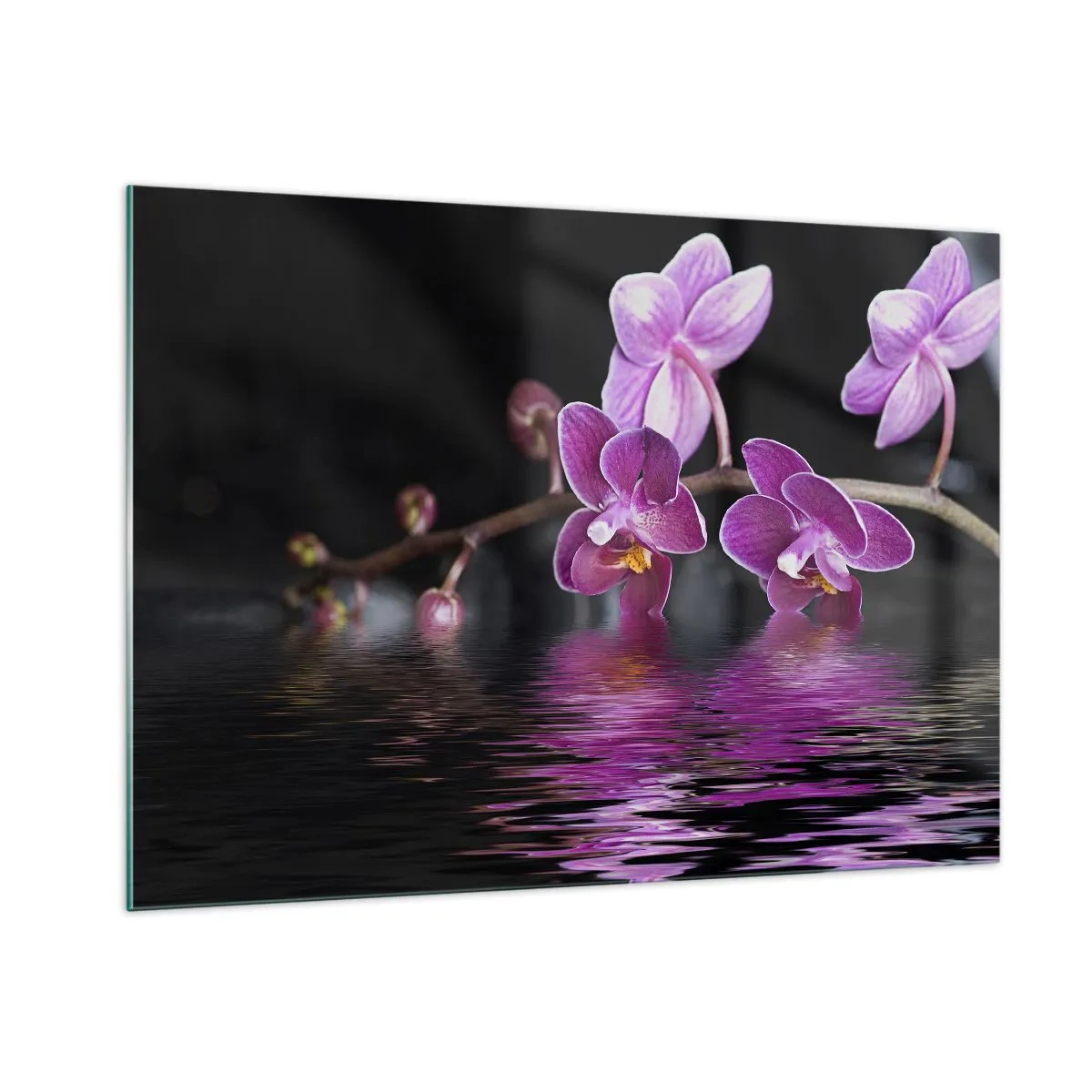 Impression sur verre - Image sur verre - Orchidées violettes se reflétant dans l'eau - 100x70cm - Reflet lilas de la beauté - Décoration murale moderne pour le salon et la chambre ARTTOR