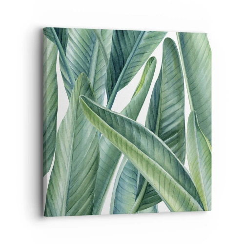 Impression sur toile - Image sur toile - La nature face à elle-même - 30x30 cm