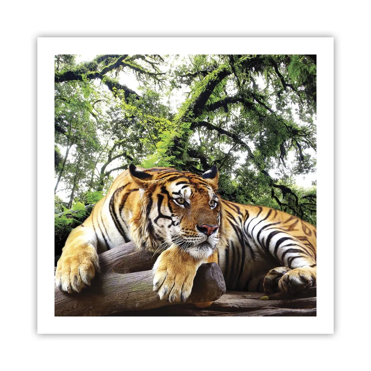 Affiche - Poster - Cordialement - 60x60 cm