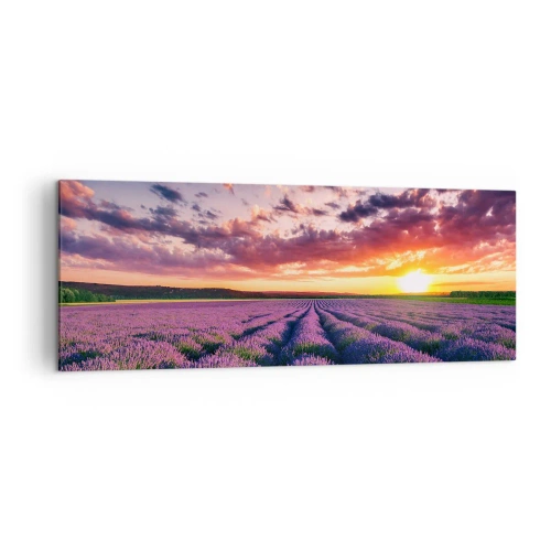 Impression sur toile - Image sur toile - Un champ de lavande au coucher du soleil avec un ciel coloré - 140x50cm - Monde de lavande - Décoration murale moderne pour le salon et la chambre ARTTOR