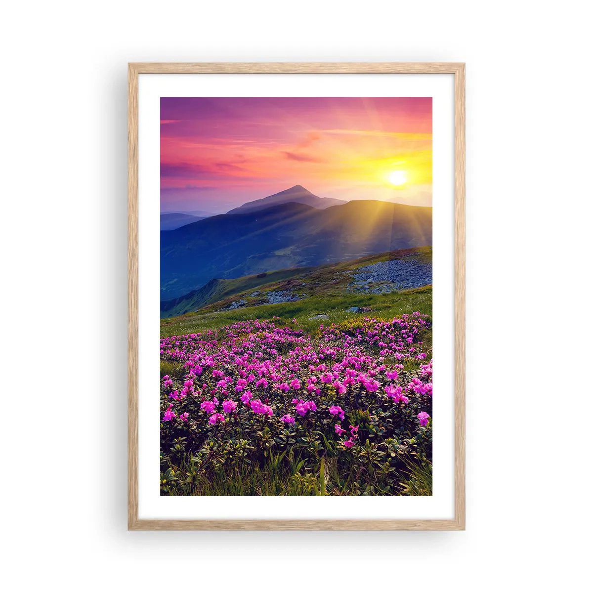 Affiche dans un chêne clair - Poster - … Et autour, ça sent le pin des montagnes et l'odeur de la prairie - 50x70 cm