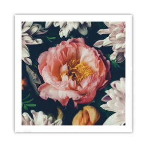 Affiche - Poster - Splendeur baroque - 60x60 cm