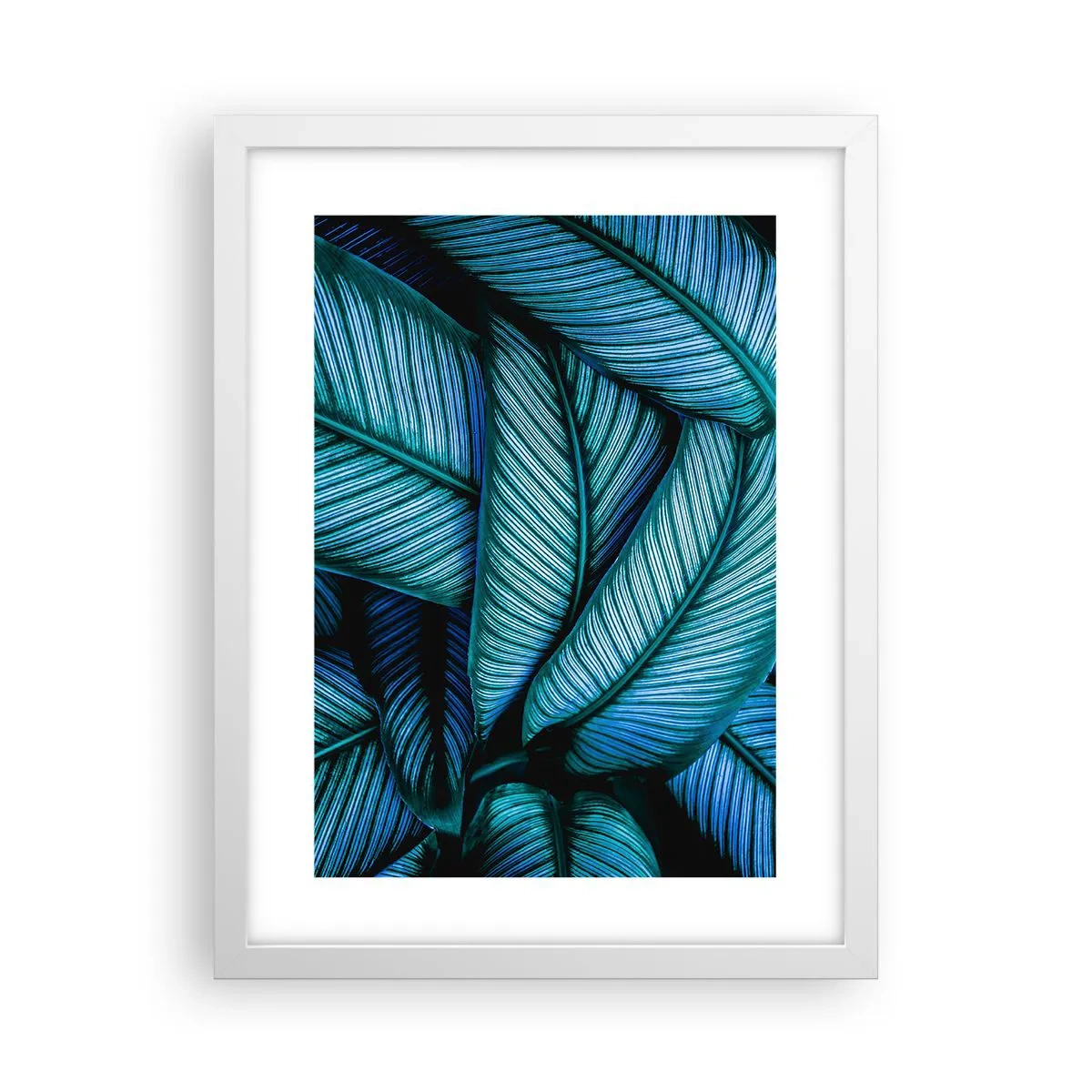 Affiche dans un cadre blanc - Poster - Lignes de vie - 30x40 cm