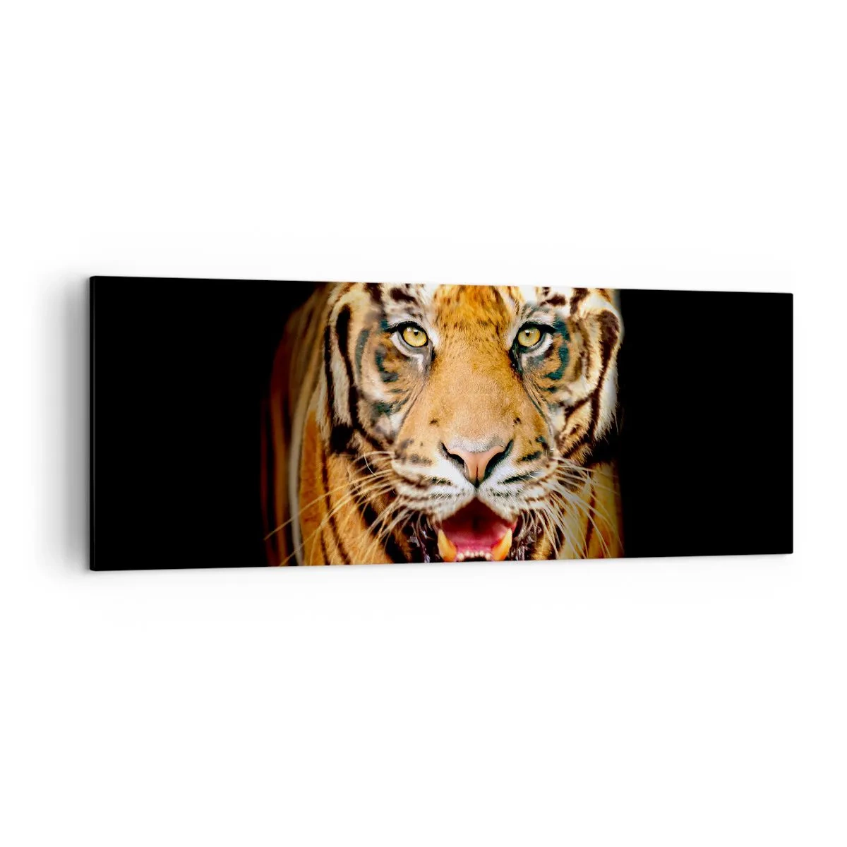 Impression sur toile - Image sur toile - Un tigre avec la gueule ouverte sur un fond noir - 140x50cm - Le coeur sauvageon - Décoration murale moderne pour le salon et la chambre ARTTOR