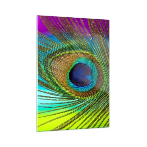 Impression sur verre - Image sur verre - Gros plan d'une plume de paon colorée - 50x70cm - Les yeux dans les yeux - Décoration murale moderne pour le salon et la chambre ARTTOR
