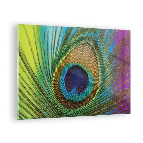 Impression sur verre - Image sur verre - Gros plan d'une plume de paon colorée - 70x50cm - Les yeux dans les yeux - Décoration murale moderne pour le salon et la chambre ARTTOR