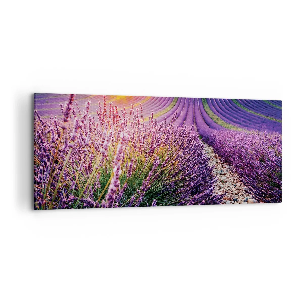 Impression sur toile - Image sur toile - Champ de lavande au coucher du soleil - 120x50cm - Tige parfumée - Décoration murale moderne pour le salon et la chambre ARTTOR