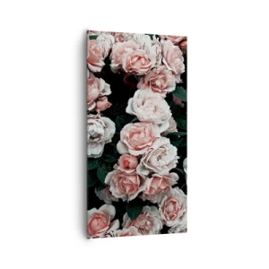 Impression sur toile - Image sur toile - Ensemble de rose - 65x120 cm