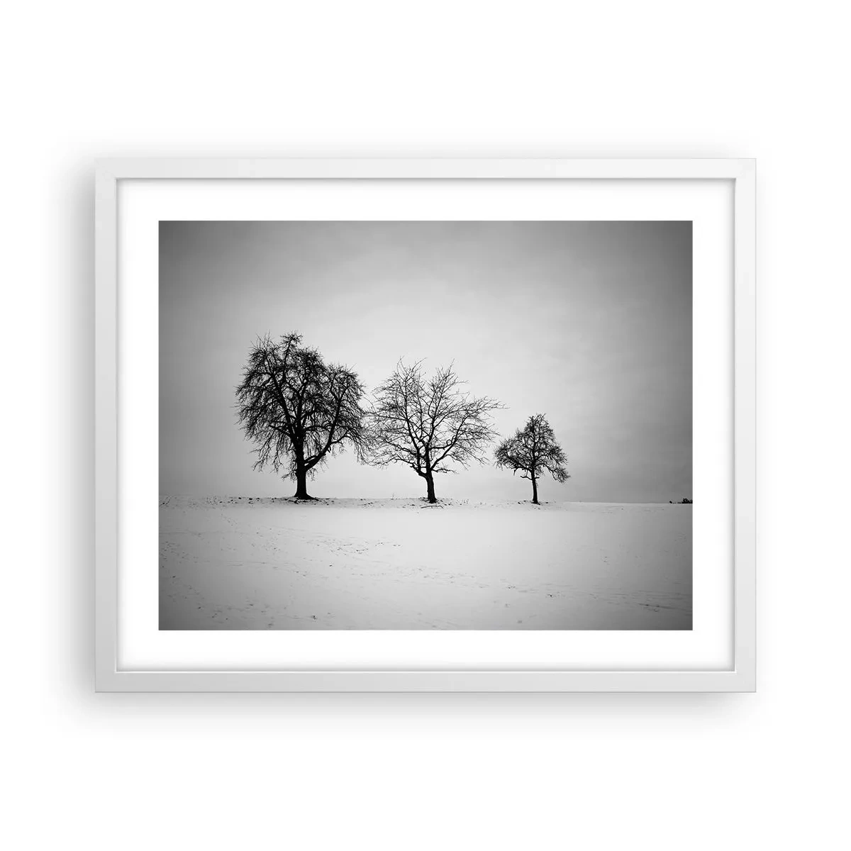 Affiche dans un cadre blanc - Poster - A quoi rêvent-ils? - 50x40 cm