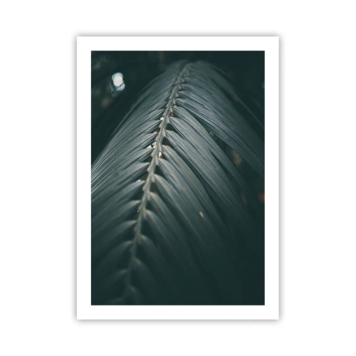 Affiche - Poster - Une feuille de palmier dans un ton sombre avec un éclairage doux - 50x70cm - Précision de la nature - Décoration murale moderne pour le salon et la chambre ARTTOR