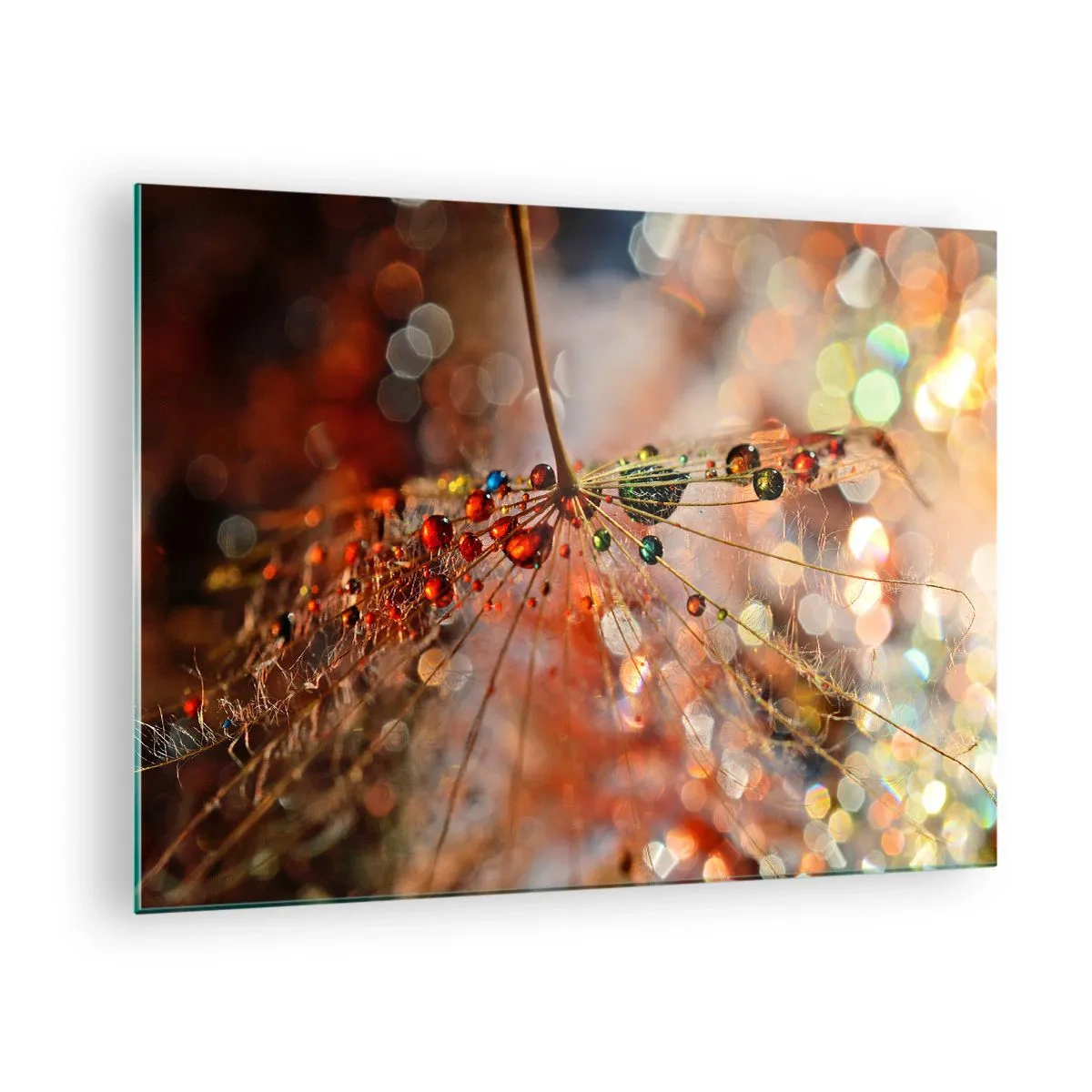 Impression sur verre - Image sur verre - Gouttes d'eau sur une délicate toile d'araignée sous une lumière bokeh - 70x50cm - Enfilé sur un fil d'araignée - Décoration murale moderne pour le salon et la chambre ARTTOR