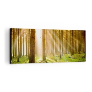 Impression sur toile - Image sur toile - Les elfes vont bientôt apparaître - 100x40 cm