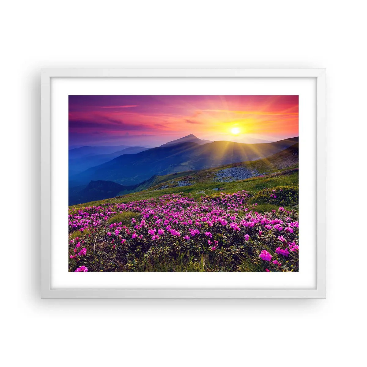 Affiche dans un cadre blanc - Poster - … Et autour, ça sent le pin des montagnes et l'odeur de la prairie - 50x40 cm