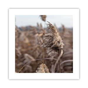 Affiche - Poster - Il est temps de s'envoler avec le vent - 40x40 cm