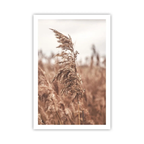 Affiche - Poster - C'est déjà l'automne dans les champs - 61x91 cm