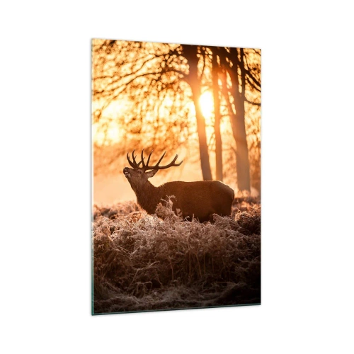 Impression sur verre - Image sur verre - Deux cerfs au coucher du soleil dans un paysage hivernal - 70x100cm - Le rêve d'un chasseur - Décoration murale moderne pour le salon et la chambre ARTTOR
