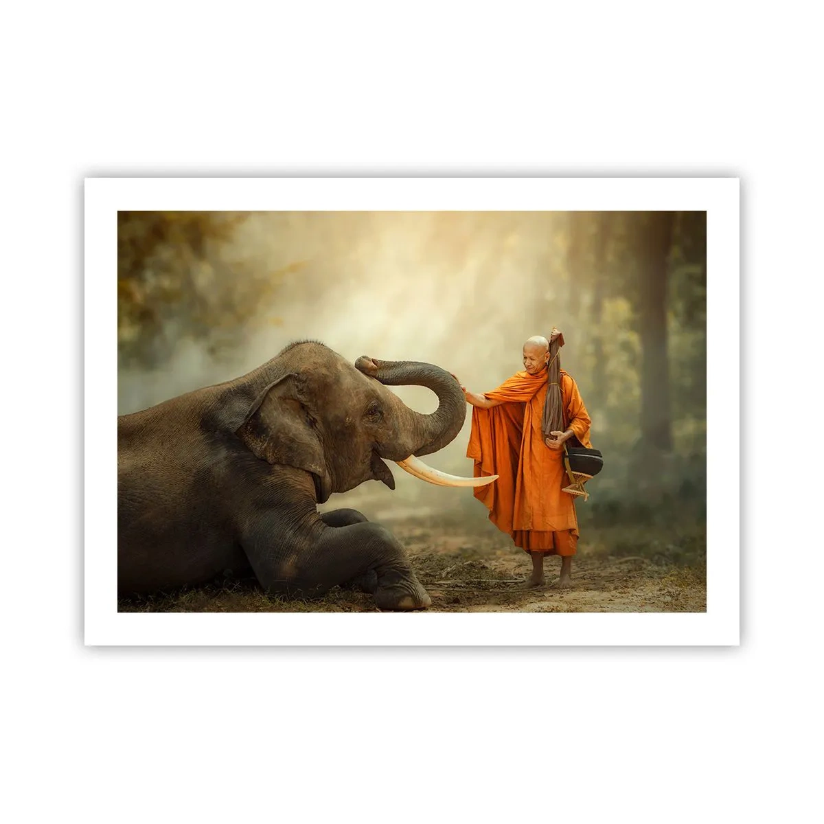Affiche - Poster - Rencontre en voyageant - 70x50 cm