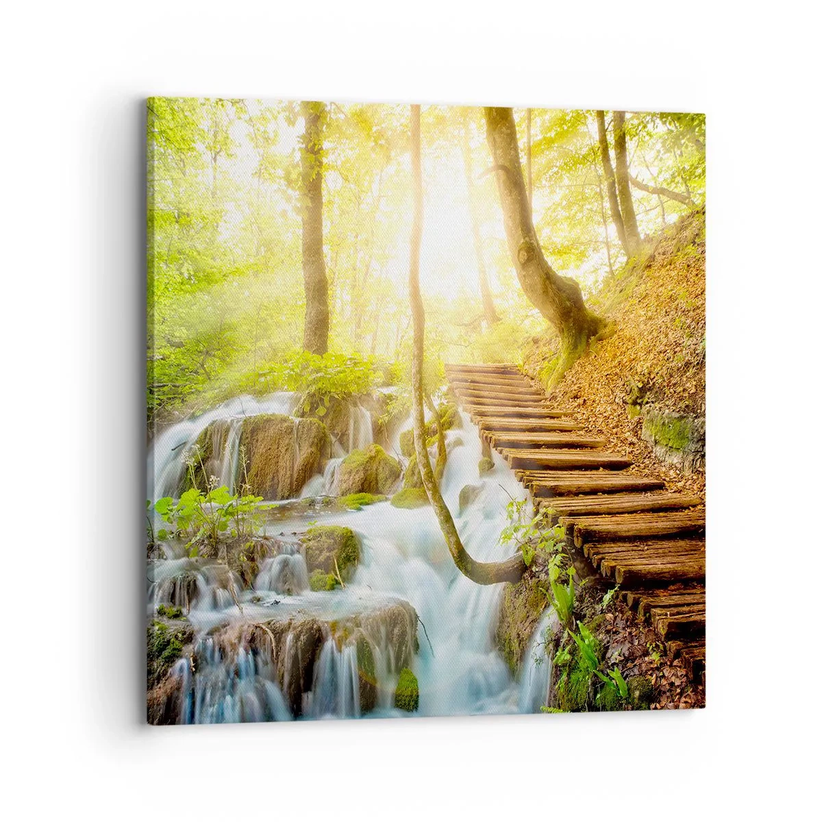 Impression sur toile - Image sur toile - Une fraîcheur tant désirée - 70x70 cm