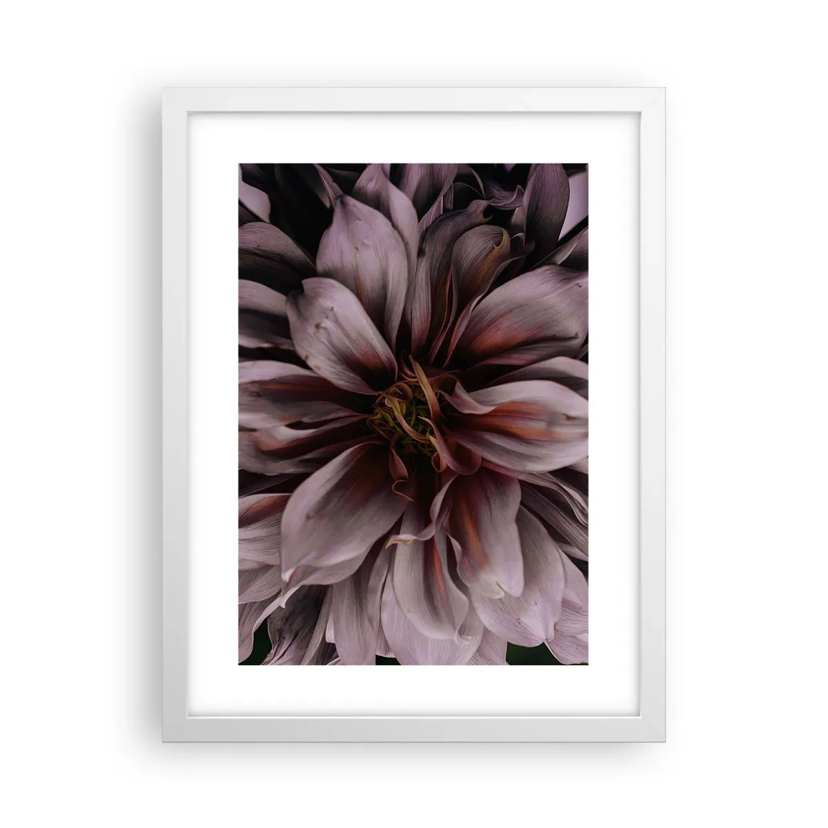 Affiche dans un cadre blanc - Poster - Un coeur fleuri - 30x40 cm