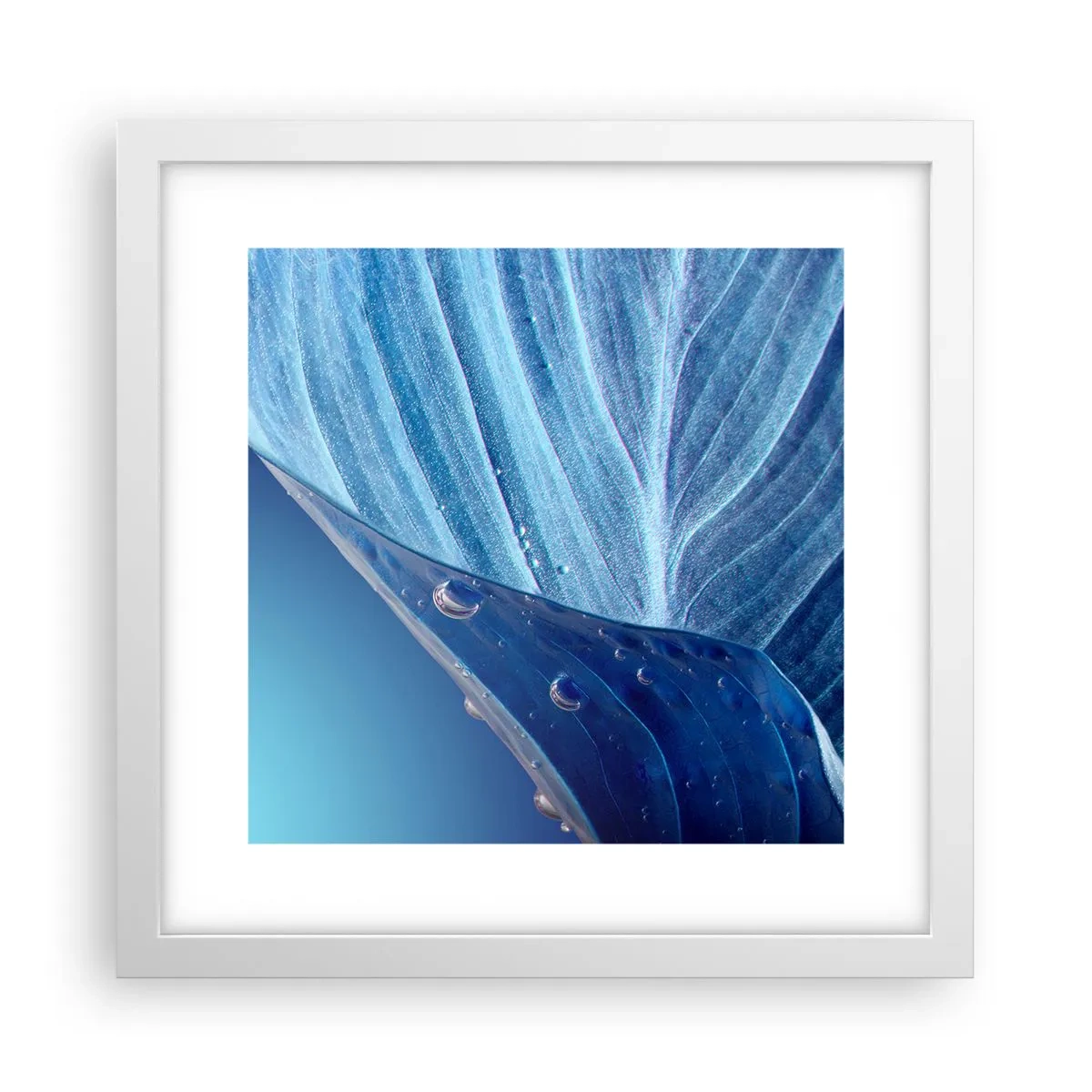 Affiche dans un cadre blanc - Poster - Gouttes cachées du bleu - 30x30 cm