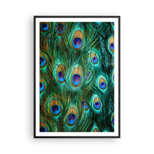 Affiche dans un cadre noir - Poster - Un regard de paon - 70x100 cm