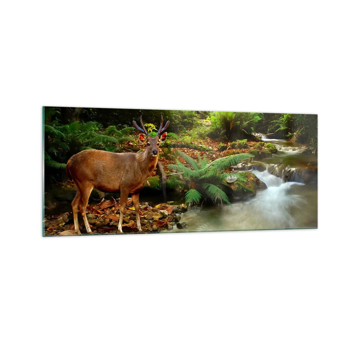 Impression sur verre - Image sur verre - Bienvenue dans mon monde - 100x40 cm