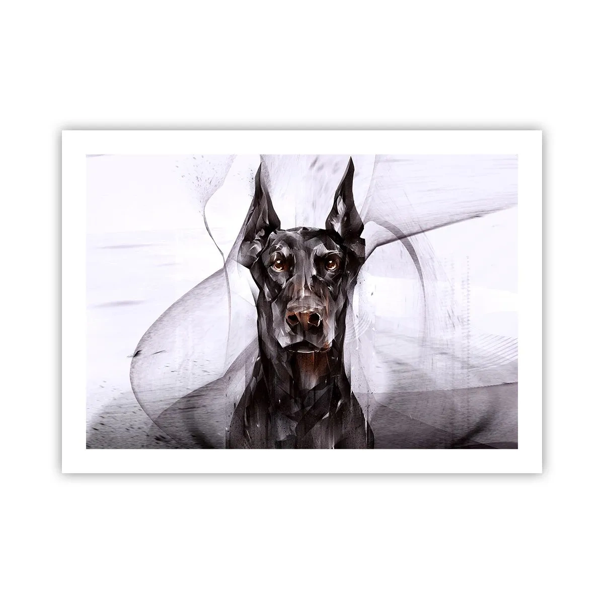 Affiche - Poster - Né noble - 70x50 cm