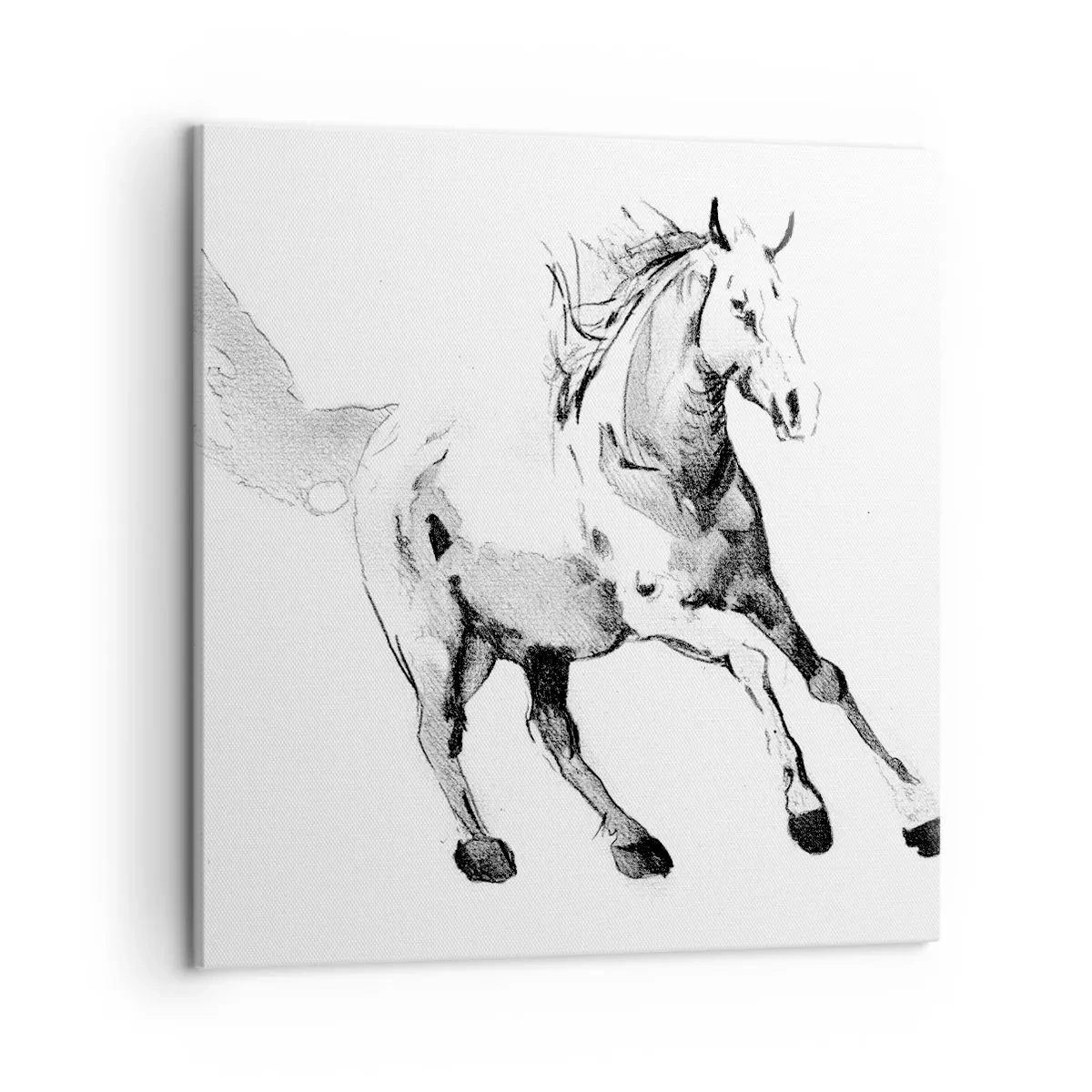 Impression sur toile - Image sur toile - Âme indomptée - 50x50 cm