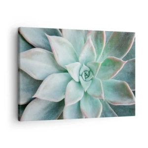 Impression sur toile - Image sur toile - Gros plan d'une succulente verte - 70x50cm - Le coeur du désert - Décoration murale moderne pour le salon et la chambre ARTTOR