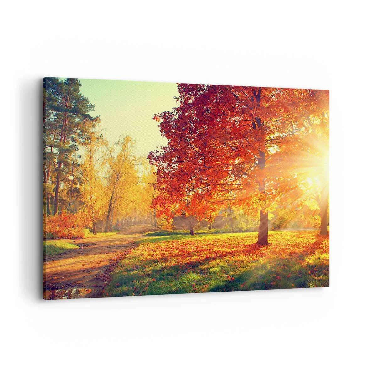 Impression sur toile - Image sur toile - Parc d'automne illuminé par la lumière du soleil - 100x70cm - Le roux est beau - Décoration murale moderne pour le salon et la chambre ARTTOR