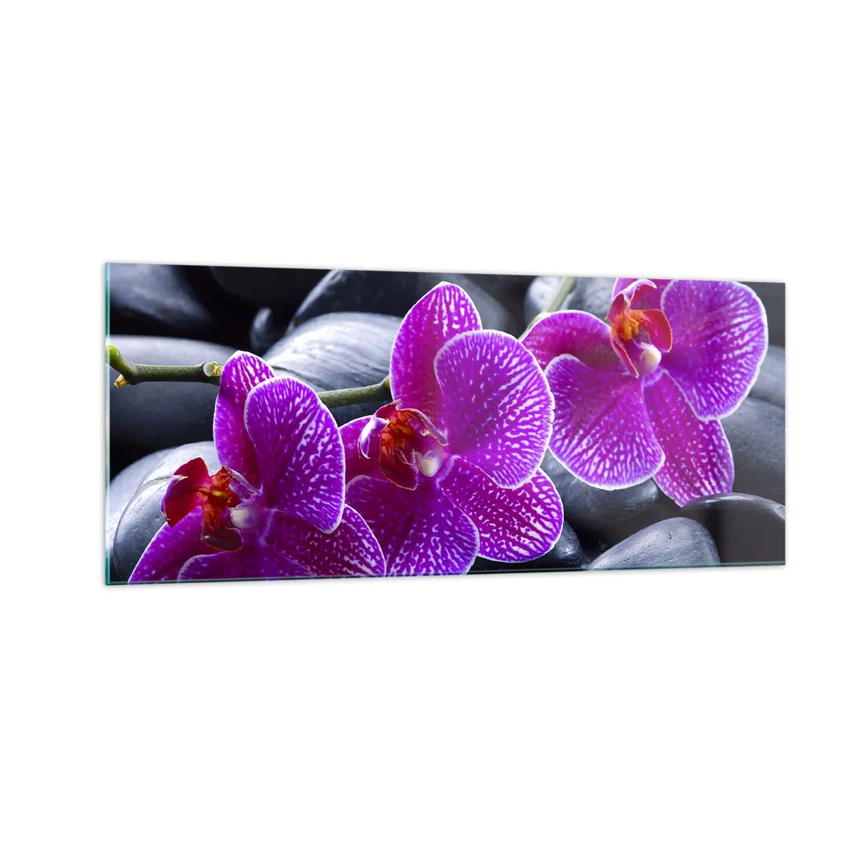 Impression sur verre - Image sur verre - Les pierres brillaient de joie - 100x40 cm