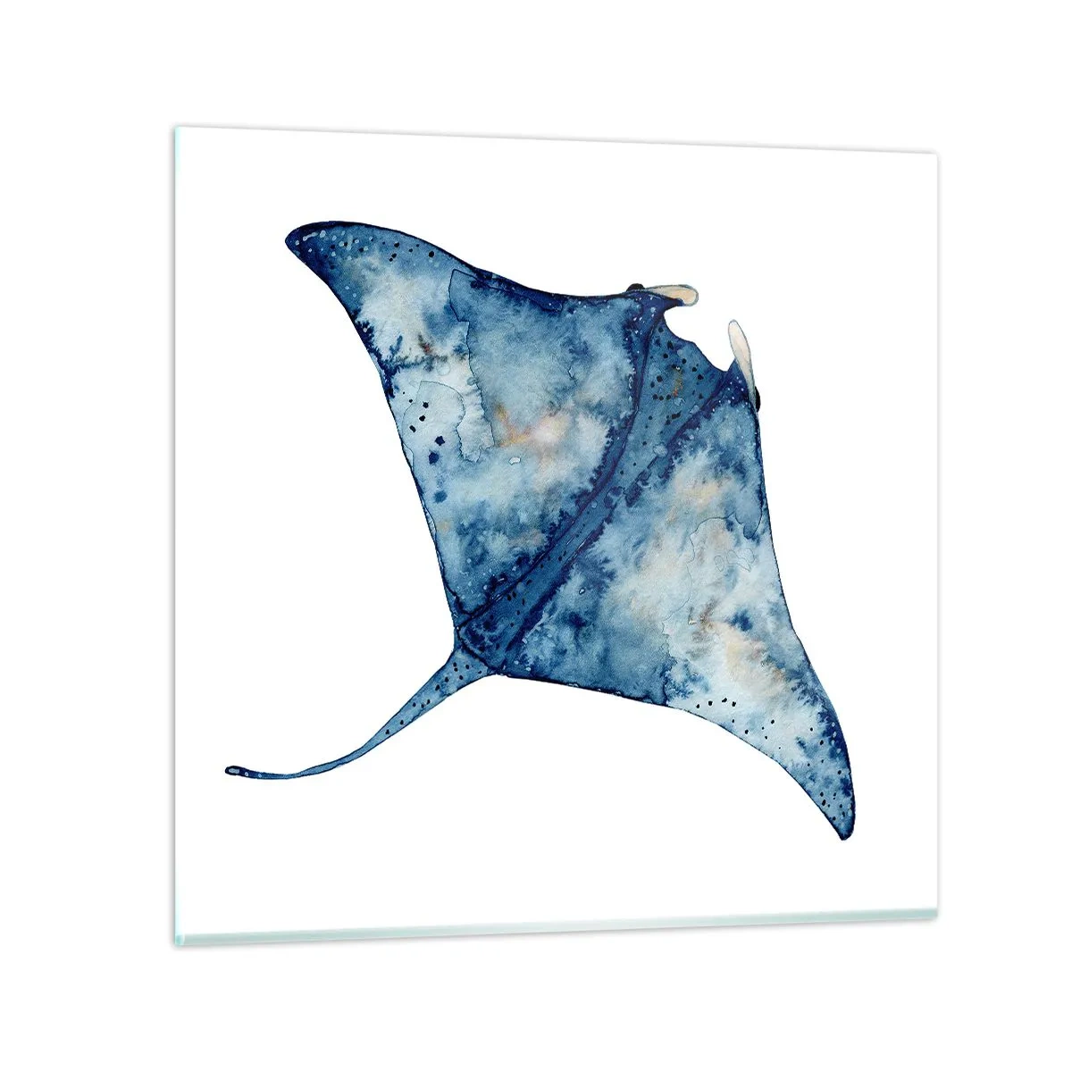 Impression sur verre - Image sur verre - La vie en bleu - 40x40 cm