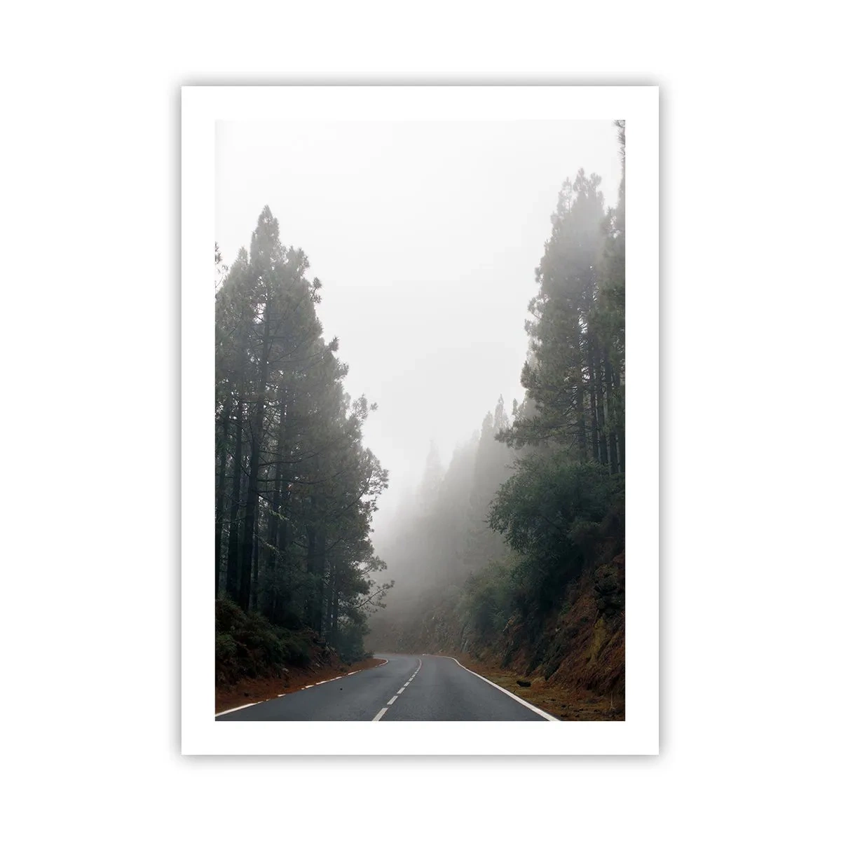 Affiche - Poster - Une route sinueuse parmi les arbres enveloppée de brouillard - 50x70cm - Conte de la forêt magique - Décoration murale moderne pour le salon et la chambre ARTTOR