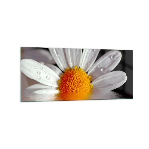 Impression sur verre - Image sur verre - Une marguerite blanche avec des gouttes d'eau immergées dans un reflet d'eau - 120x50cm - Le soleil levant des marguerites - Décoration murale moderne pour le salon et la chambre ARTTOR