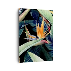 Impression sur toile - Image sur toile - Fleurs et feuilles tropicales sur fond noir - 50x70cm - Fleurs flamboyantes des tropiques - Décoration murale moderne pour le salon et la chambre ARTTOR