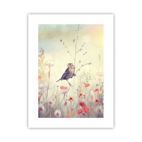 Affiche - Poster - Portrait d'oiseau sur pré en fond - 30x40 cm