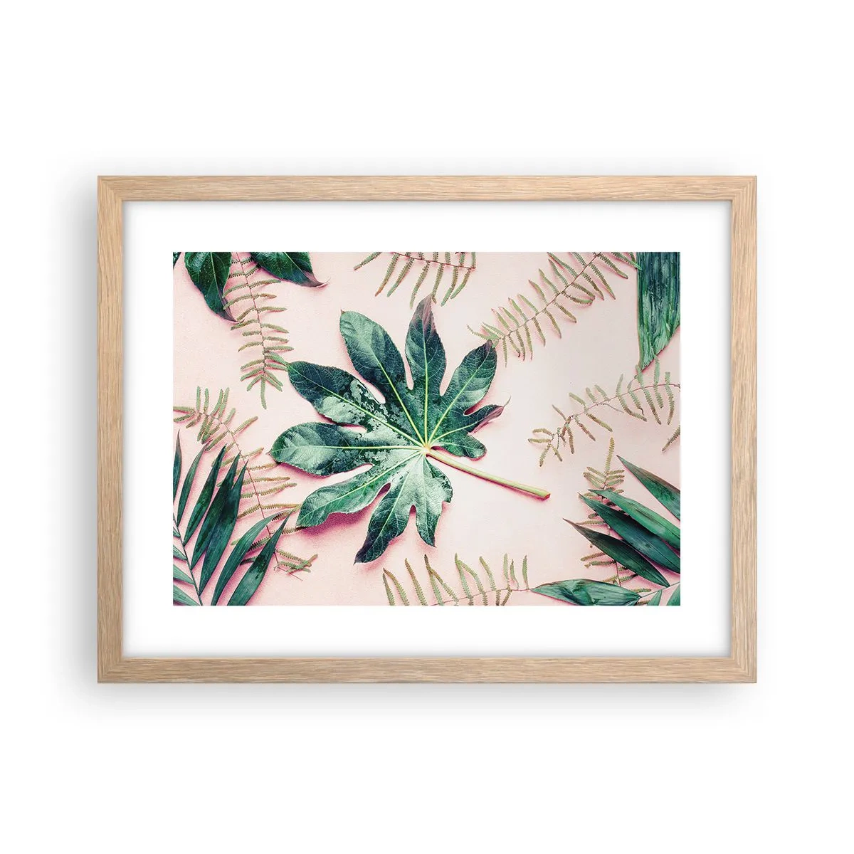 Affiche dans un chêne clair - Poster - Étude de verdure sur fond rose - 40x30 cm