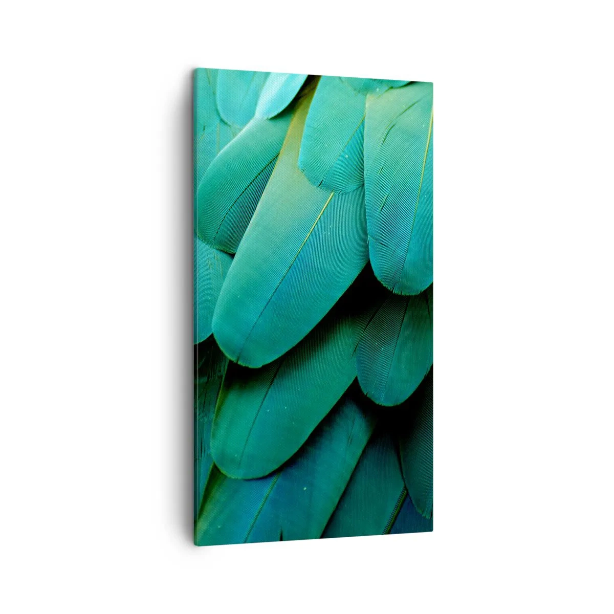 Impression sur toile - Image sur toile - Perfection de la nature du perroquet - 45x80 cm