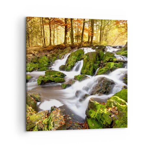 Impression sur toile - Image sur toile - Rapidement à travers la forêt d'automne - 60x60 cm