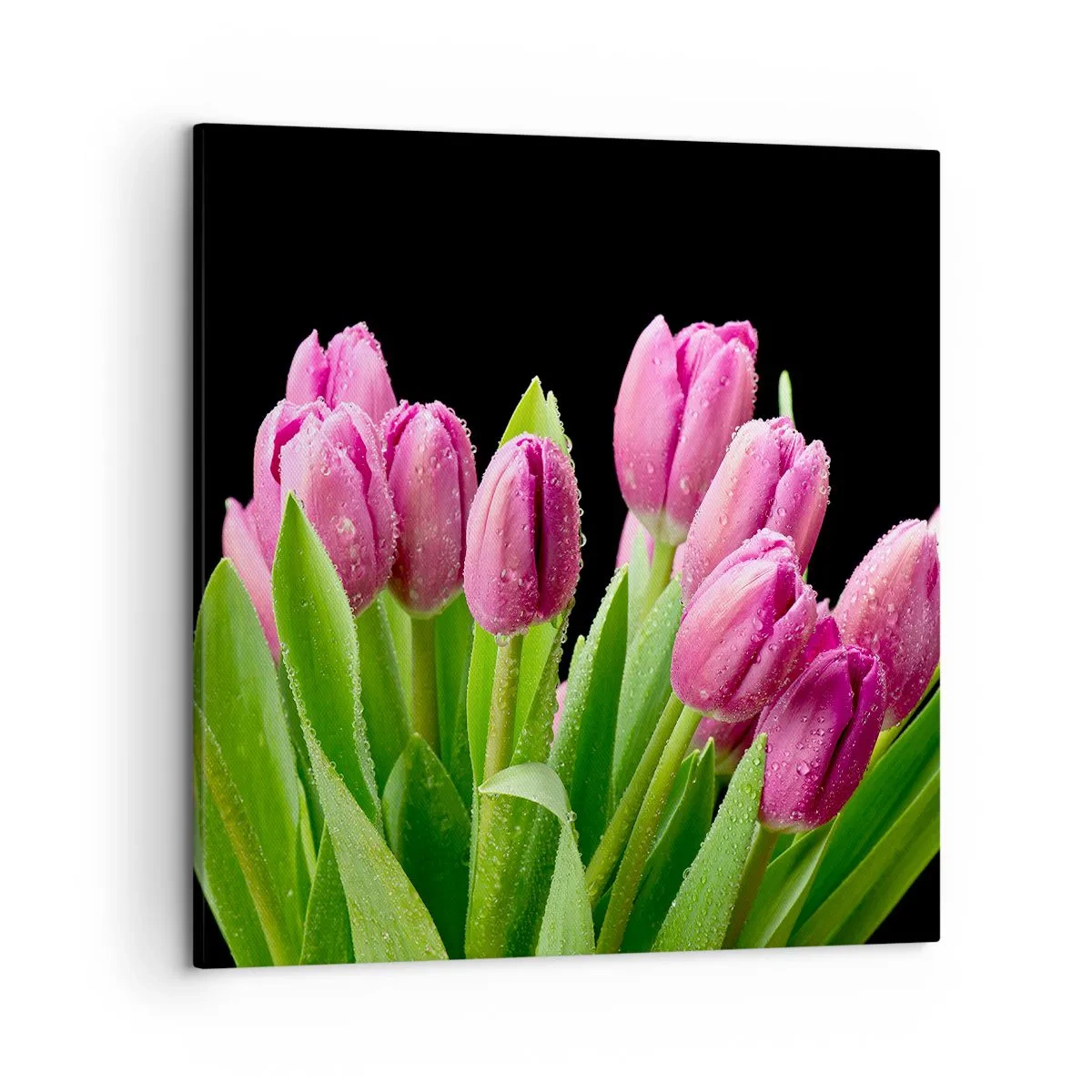 Impression sur toile - Image sur toile - Joie printanière des lilas - 50x50 cm