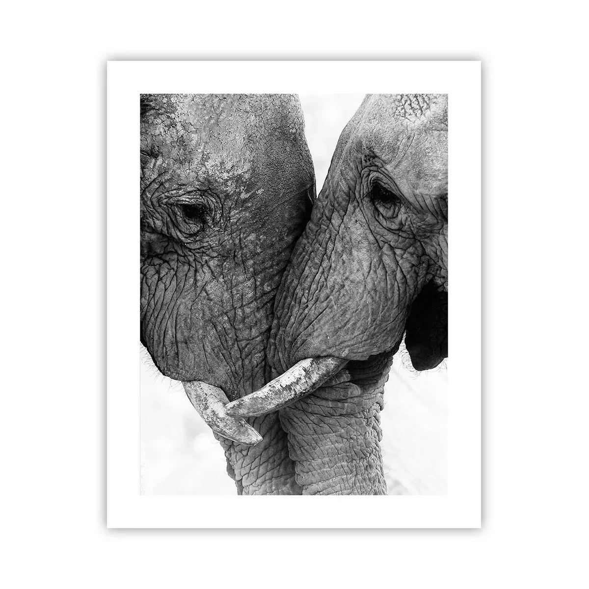 Affiche - Poster - Confession sincère - 40x50 cm