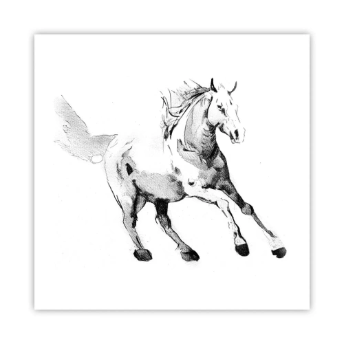 Affiche - Poster - Âme indomptée - 50x50 cm