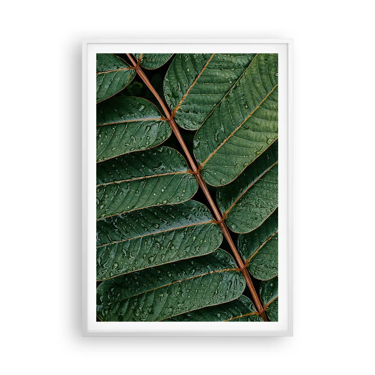 Affiche dans un cadre blanc - Poster - Au rythme de la verdure - 70x100 cm