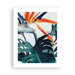 Affiche - Poster - Le buisson oiseaux - 40x50 cm