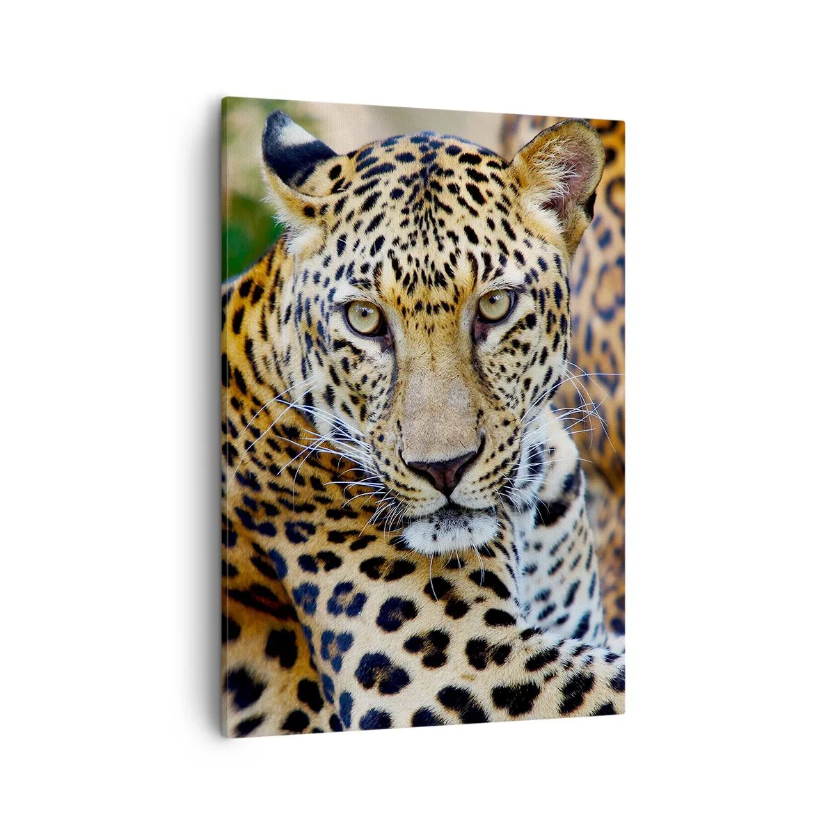 Impression sur toile - Image sur toile - Jaguar au repos dans un environnement naturel avec un fond vert. - 50x70cm - Sauvage et calme - Décoration murale moderne pour le salon et la chambre ARTTOR