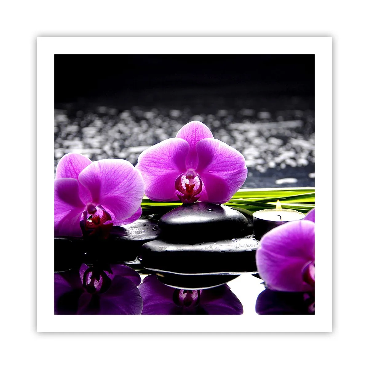 Affiche - Poster - Se noyer dans la paix et la tranquillité - 60x60 cm