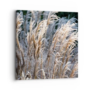 Impression sur toile - Image sur toile - Habillé de givre - 30x30 cm