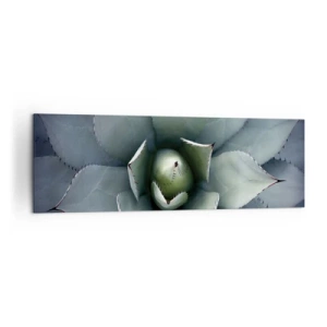 Impression sur toile - Image sur toile - Gros plan d'une rosette d'agave aux délicates nuances de vert - 160x50cm - Wabi et observe - Décoration murale moderne pour le salon et la chambre ARTTOR